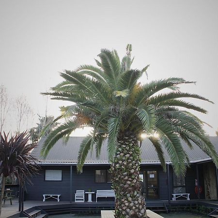Hugo & Carters Backpackers & Motel Tauranga Eksteriør billede The pool at the hotel