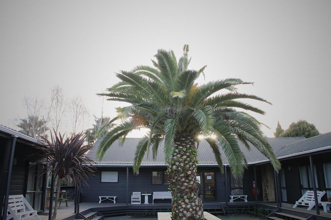 Hugo & Carters Backpackers & Motel Tauranga Eksteriør billede The pool at the hotel